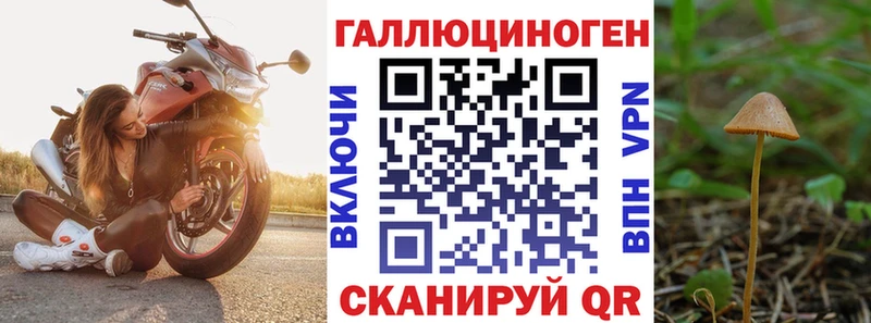 Купить закладки  Ефремов  Галлюциногенные грибы Cubensis 